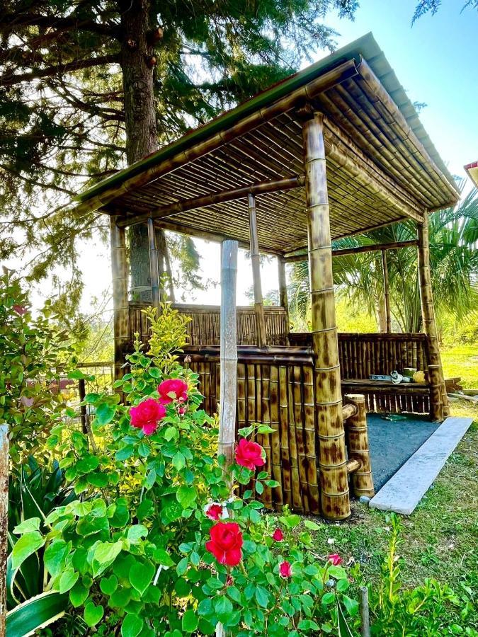 Villa In Chakvi Ngoại thất bức ảnh